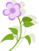 分割线